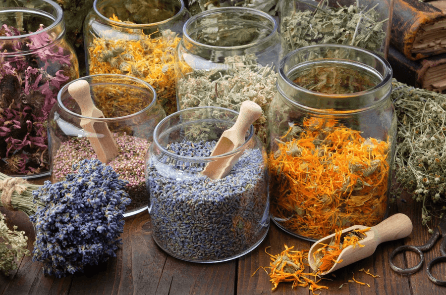 Jars filled with dried herbs