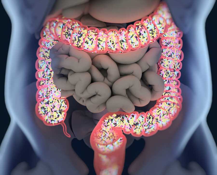 The Microbiome