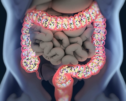 The Microbiome