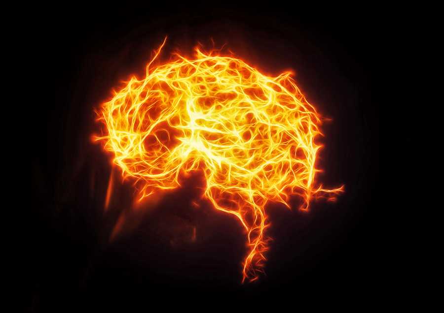 flames in the shape of a brain