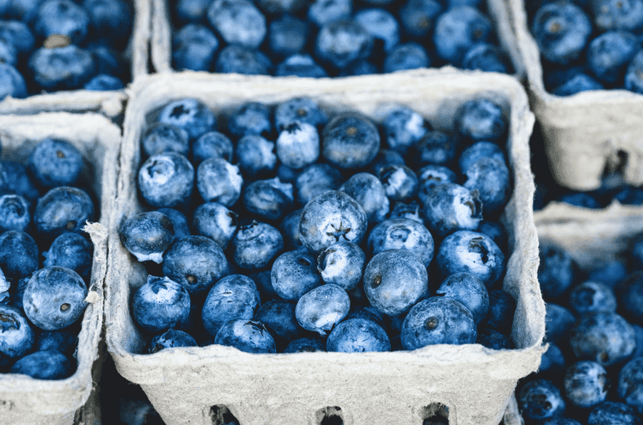 Blueberries in cardboard boxes