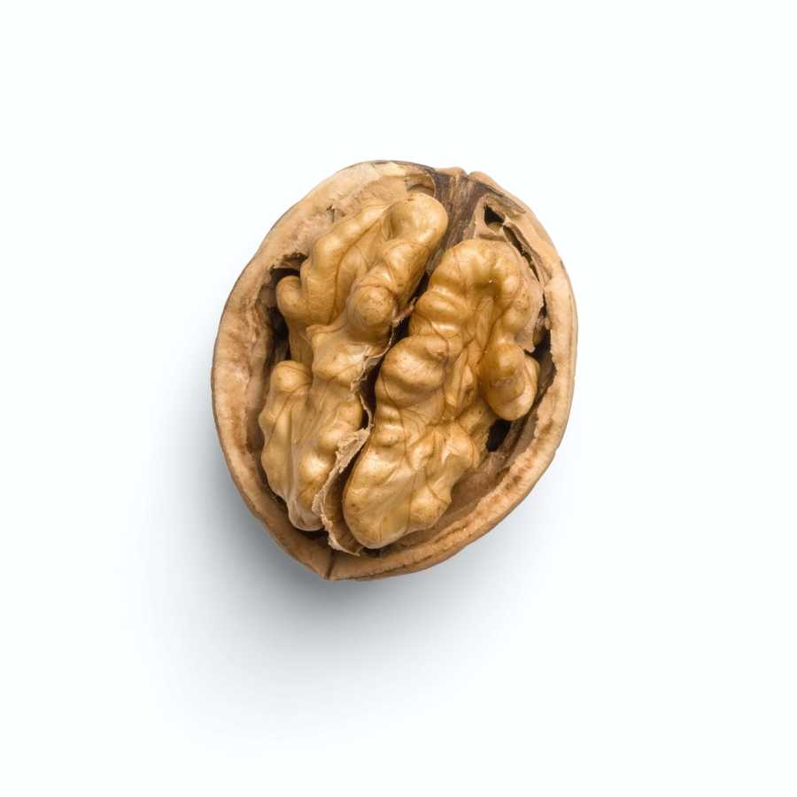 Walnut in half of the shell on a white background