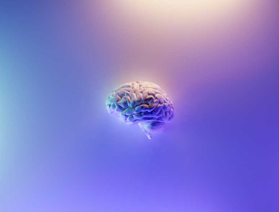 Brain on a purple background 