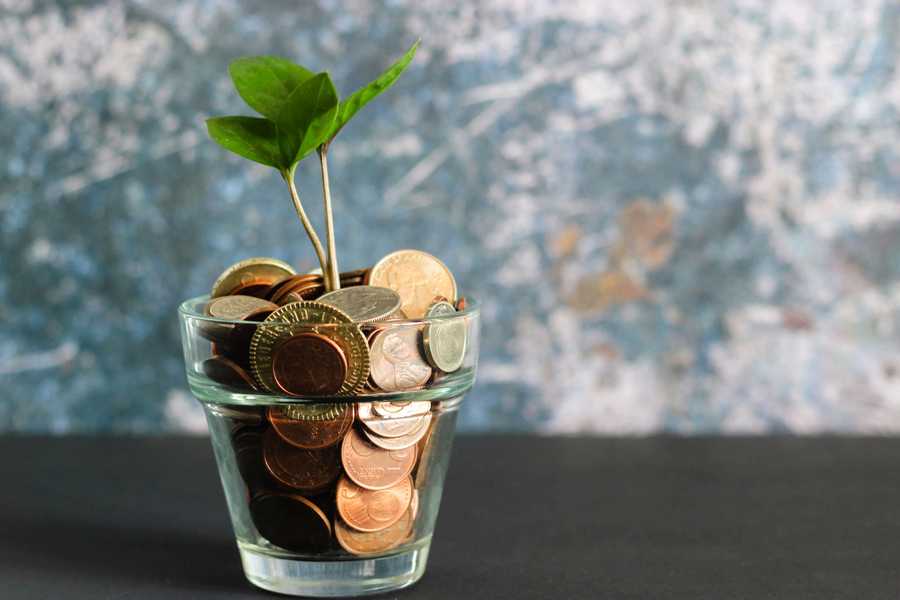 small plant growing out of a glass filled with coins