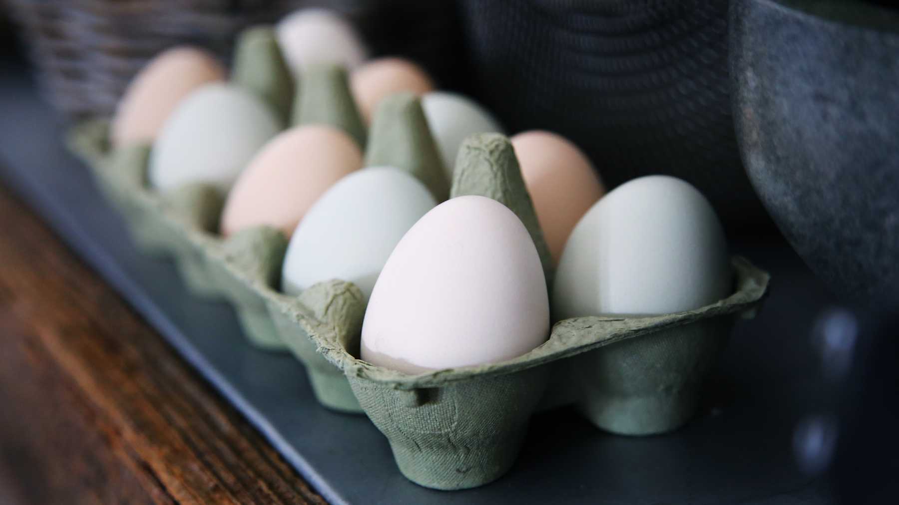 Understanding Egg Options | Amos Institute Blog